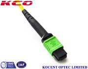 Single Mode Breakout Fiber Optic Cable MPO/APC To 12 LC/UPC OS2 G652D 2.0mm PVC
