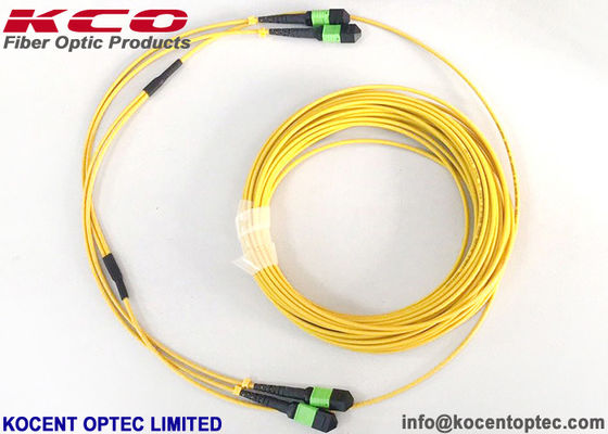 MPO APC 24fo 48cores G657A1 Elite Perda de Inserção MTP Fibra Optica Trunk Patch Cable