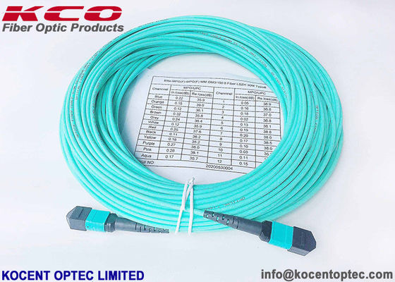 16fo 24fo Low IL Optical Fiber 50/125 OM4 MPO MTP Optical Fiber Patch Cord